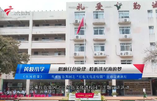  20240601《小小宣讲员》之本周校事-黄岐小学