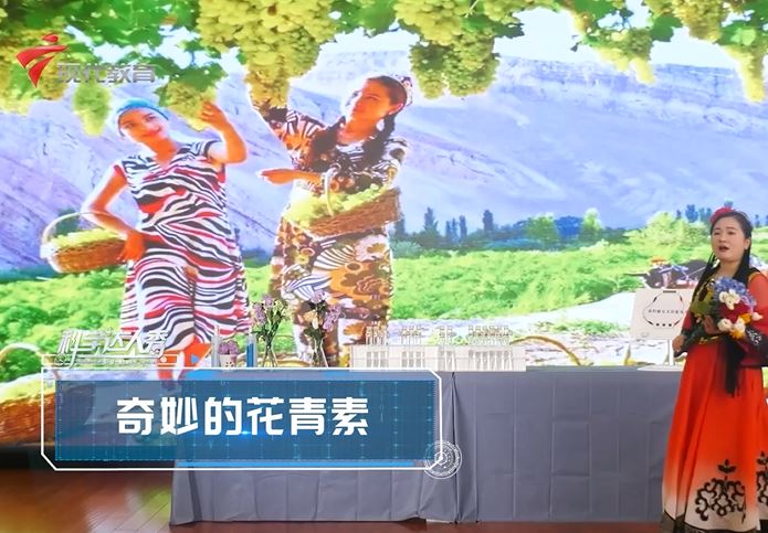  《 科学达人秀》21-奇妙的花青素